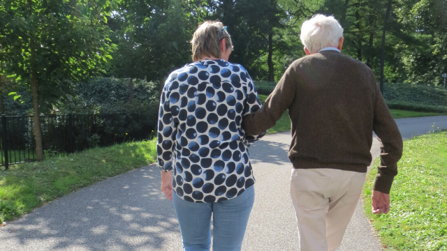 Wandelen