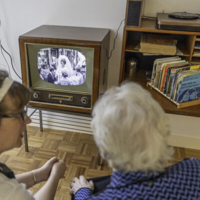 Nederlands Openluchtmuseum